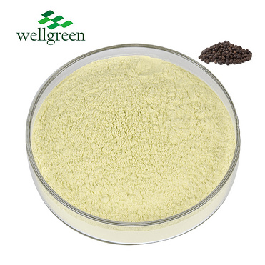 Piperine 95% Piperine (HPLC)