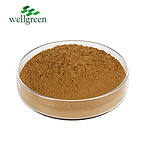 Rosemary Extract 5.0% Rosmarinic acid (HPLC)