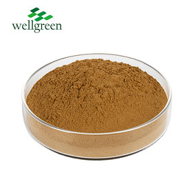 Rosemary Extract 5.0% Rosmarinic acid (HPLC)