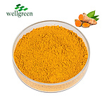 Curcumin 98.0% Curcumin（HPLC）