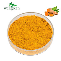 Curcumin 98.0% Curcumin（HPLC）