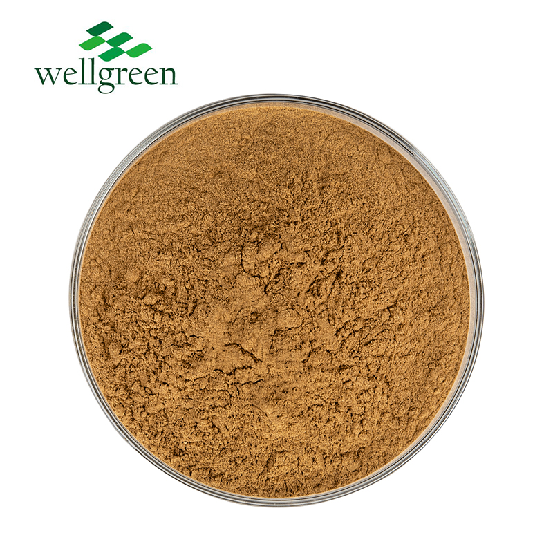 Devil’s Claw Extract 2.5%~20.0%Harpagoside(HPLC)