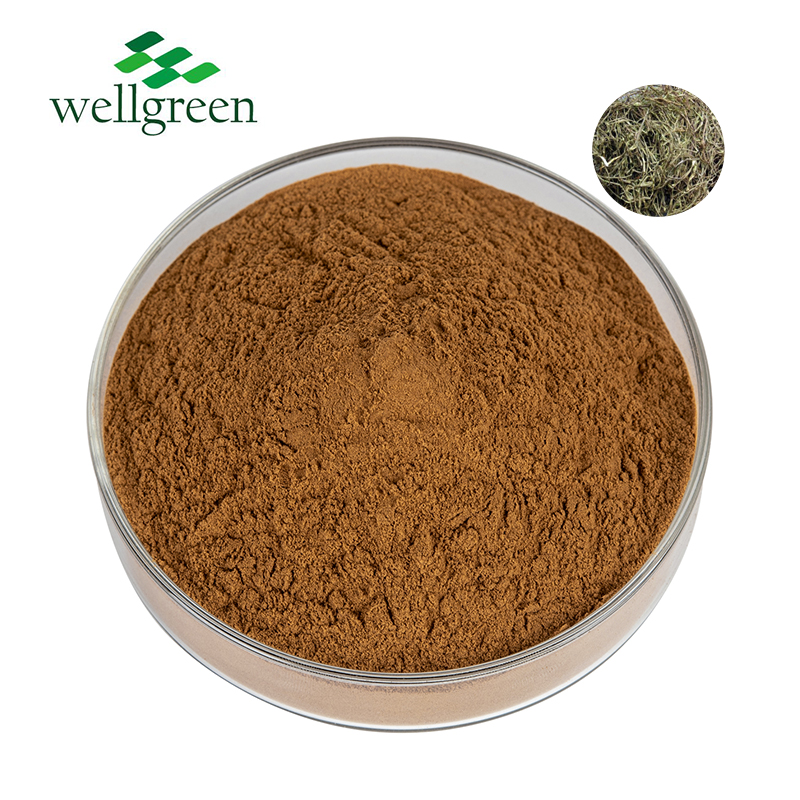 White Willow Extract 15.0%~98.0% Salicin (HPLC)