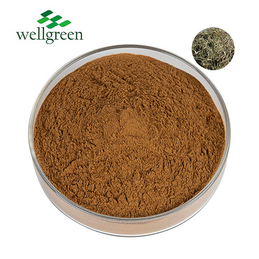 White Willow Extract 15.0%~98.0% Salicin (HPLC)