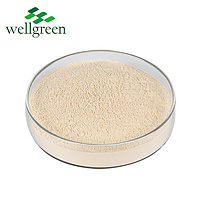 Ginseng Leaf Extract 80.0% Ginsenoside (UV)