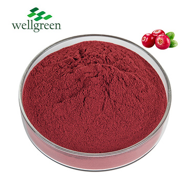 Cranberry Extract 10.0%~50% PACs(UV)
