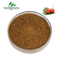 Hawthorn Berry Extract 2.0%~5.0% Flavones (UV)