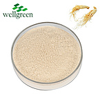 Ginger Extract 5.0%, 20.0% Gingerols (HPLC)