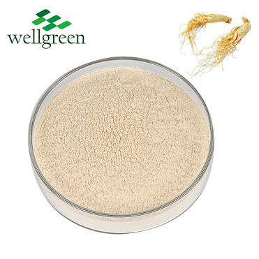 Ginger Extract 5.0%, 20.0% Gingerols (HPLC)