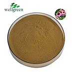 Echinacea Extract 4.0% Polyphenol (UV)