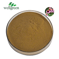 Echinacea Extract 4.0% Polyphenol (UV)