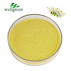 Quercetin 95.0%Quercetin（HPLC）