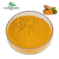 Turmeric Root Extract 95.0% Curcumin（HPLC）