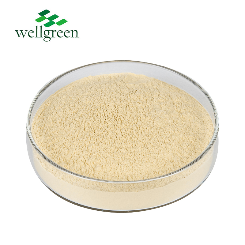 American Ginseng Extract 10.0% Ginsenosides (UV/HPLC)