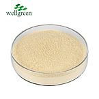 American Ginseng Extract 10.0% Ginsenosides (UV/HPLC)