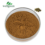 Tribulus Terrestris Extract 40.0~90.0% Total Saponins (UV)