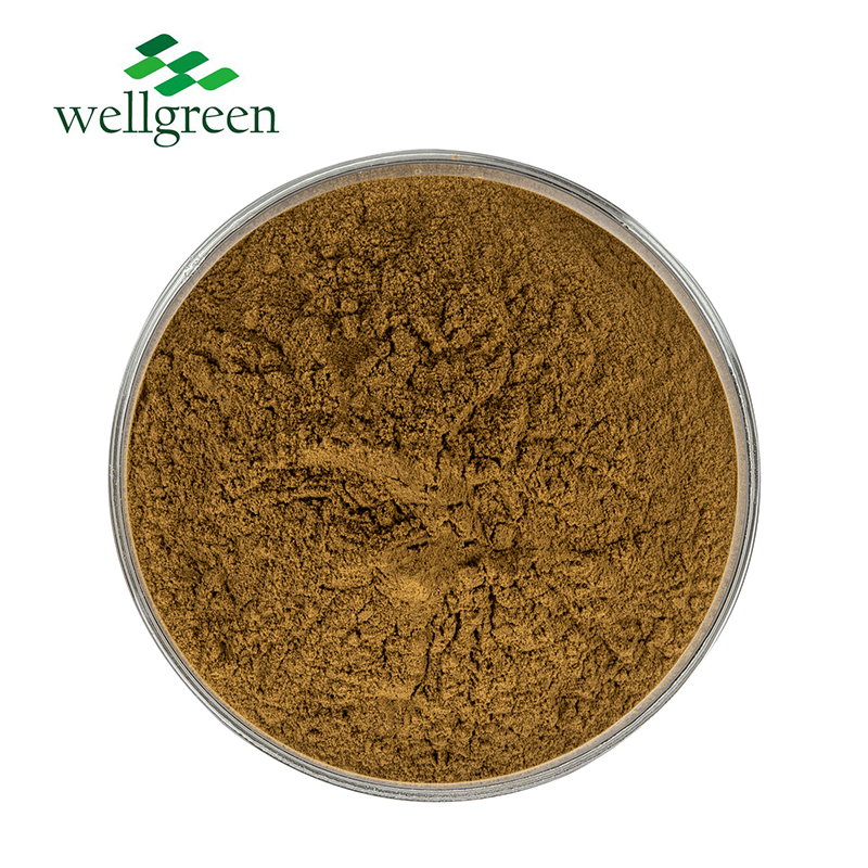 Pygeum Africanum Extract 2.5% Phytosteroles (HPLC)