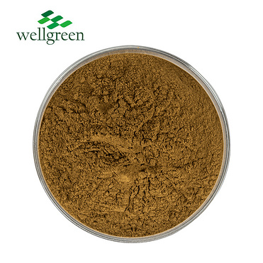 Pygeum Africanum Extract 2.5% Phytosteroles (HPLC)