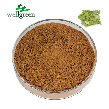 Senna Leaf Extract 6.5%, 8.0% Sennosides (HPLC/UV)