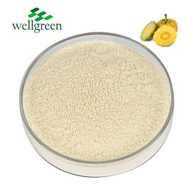 Garcinia Cambogia Extract 50.0%, 60.0% HCA (HPLC)