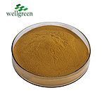 Butcher's Broom Extract 10.0% Ruscogenin(UV)