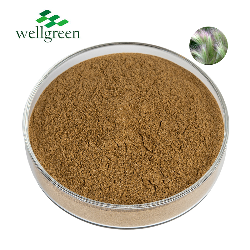 Horsetail Extract 7.0%, 10.0% Silica (UV)