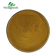 Amla Extract 60.0% Tannins（UV）