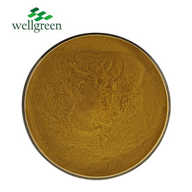 Amla Extract 60.0% Tannins（UV）