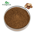 Shiitake Mushroom Extract 10.0~50.0% Polysaccharides (UV)