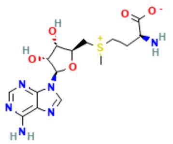 S-ADENOSYL-L-METHIONINE