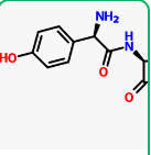 Cefadroxil