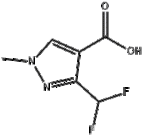 3-(Difluoromethyl)-1-methyl-1H-pyrazole-4-carboxylic acid