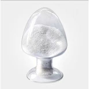 Thiamphenicol/Thiamphenicol Palmitate