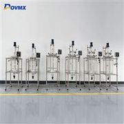 DFS-100L-20L single-layer glass reactor