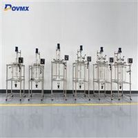 DFS-100L-20L single-layer glass reactor