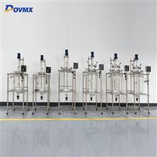 DFS-100L-20L single-layer glass reactor