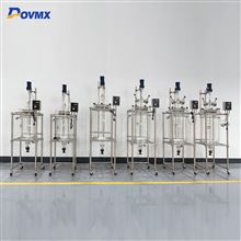 DFS-100L single glass reactor