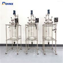 DJL-20L rectification reactor Double glass reactor