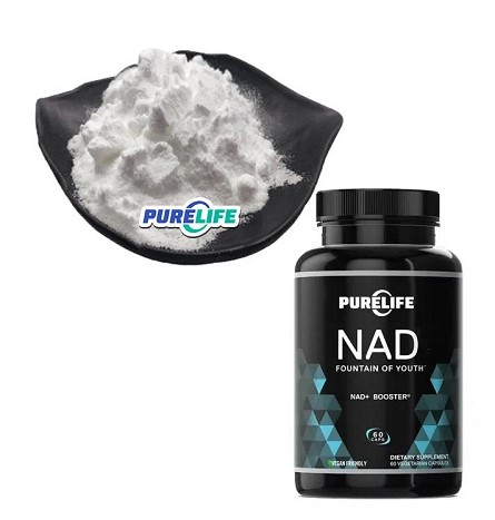 Bulk Beta Nicotinamide Adenine Dinucleotide Liposomal Skin Care Riboside Lyophilized Nad Powder