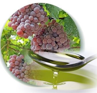 Grape Seed Oil