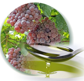 Grape Seed Oil