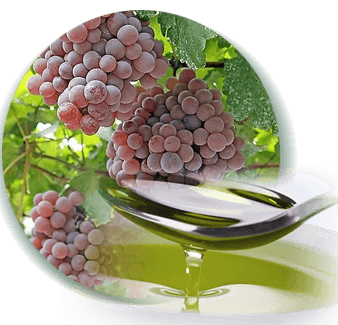 Grape Seed Oil