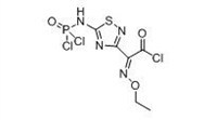 2 - (5 - dichloro phosphorus acyl amino 1, 4-trichlorobenzene thiamethoxam in 1-3 - base) - 2 (Z) - 