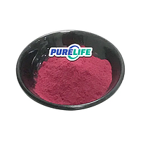 Top Quality Free Sample Supplement Natural Fruit Juice Anthocyanin Cranberry Extract