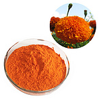 High Quality Halal Kosher Certificate 20% Lutein Zeaxanthin Xanthophylls Lutein Esters Marigold Flow