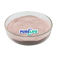Hot Selling Pure Natural Organic Dried Instant Pomegranate Peel Extract Powder