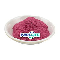 Hot Selling Organic Spray Dried Berry Pure Natural Red Raspberry Extract Powder