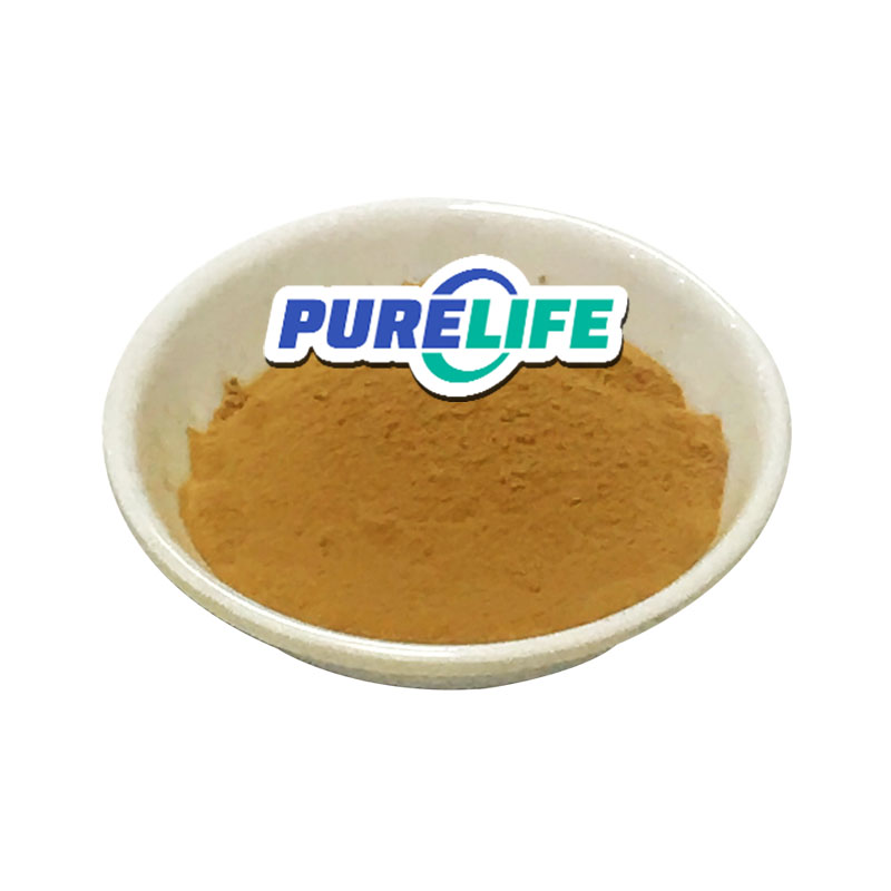 Purelife Supply Nature Baical Skullcap Root Extract Baicalin Powder Skullcap Root Extract Scutellari