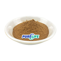Factory Supply High Quality Pure Natural Seed 98% Aescin Horse Chestnut Extract