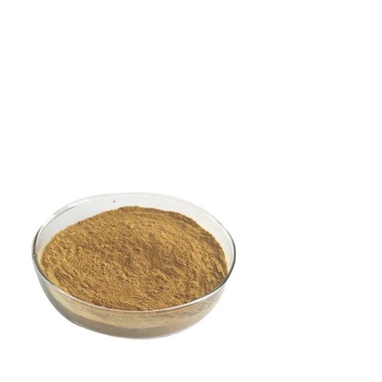 Halal Free Sample Cornus Officinalis Fruit Extract 10:1Cornus officinalis extract factory supply Dog